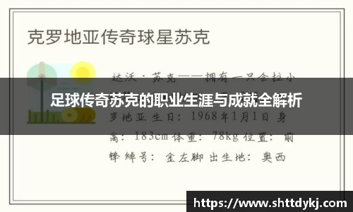 足球传奇苏克的职业生涯与成就全解析